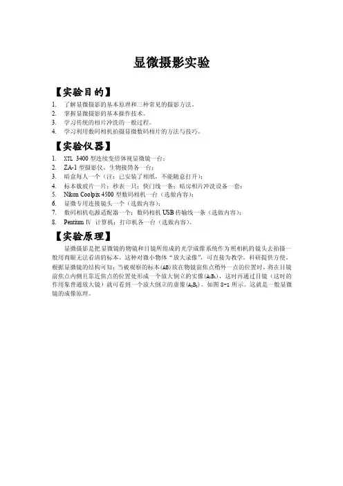 显微摄影实验