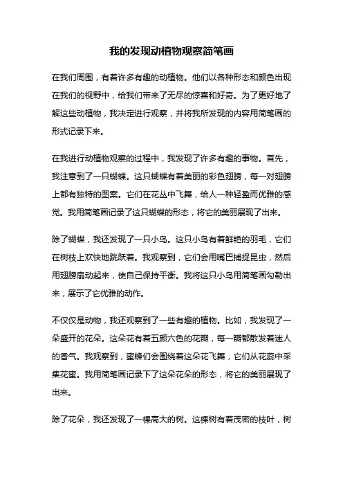 我的发现动植物观察简笔画