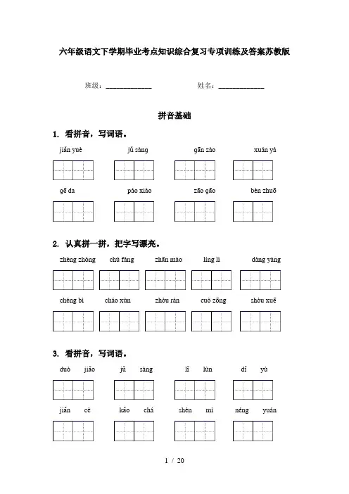 六年级语文下学期毕业考点知识综合复习专项训练及答案苏教版