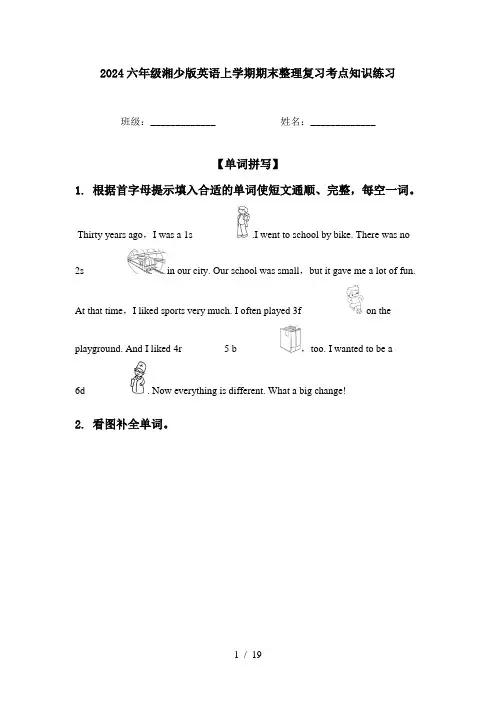 2024六年级湘少版英语上学期期末整理复习考点知识练习