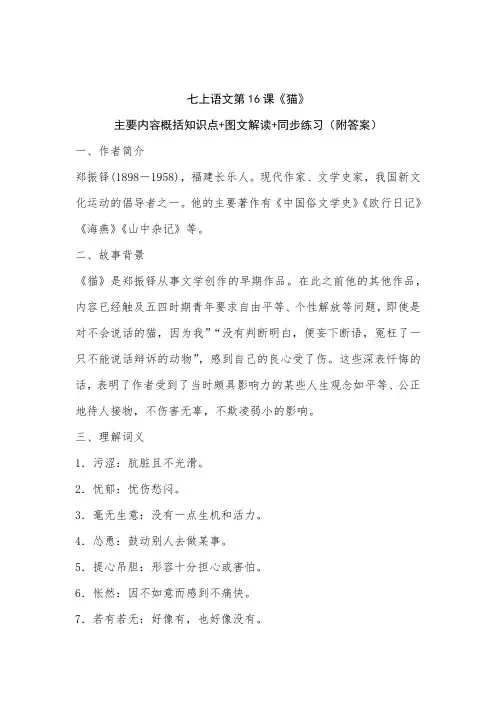 16课猫的主要内容概括