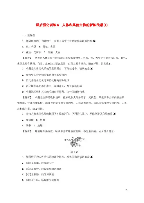 中考科学课后强化训练6人体和其他生物的新陈代谢1含解析2