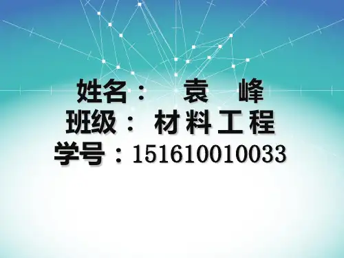软瓷材料   袁峰