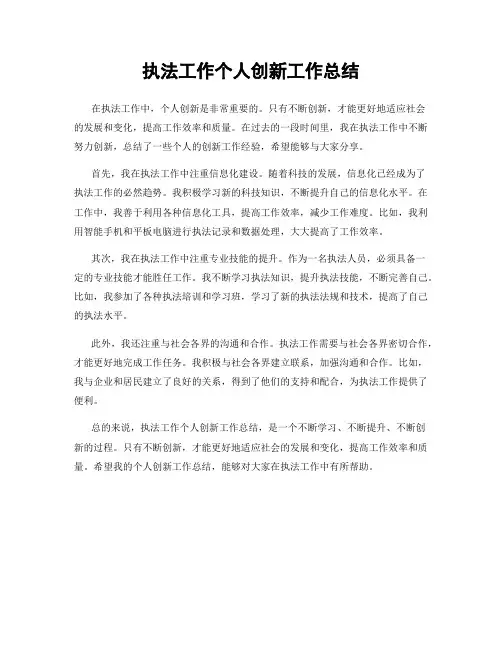 执法工作个人创新工作总结