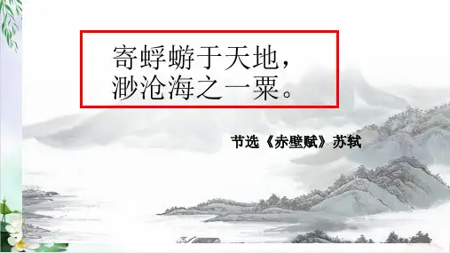 初中数学课件-确定位置PPT精品课件北师大版1
