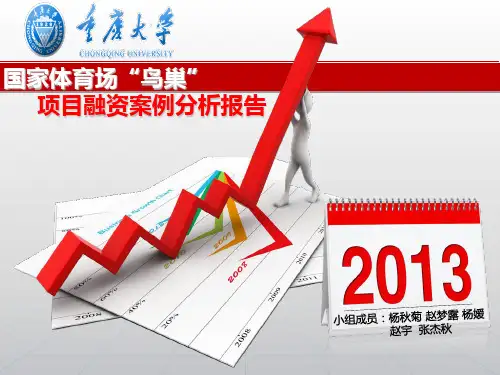 国家体育场“鸟巢“项目融资案例分析