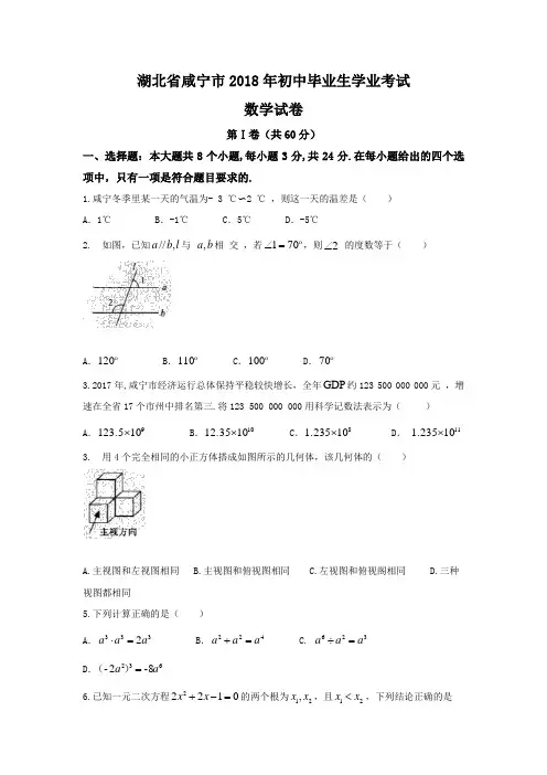 湖北省咸宁市2018年中考数学试题及答案(Word版)