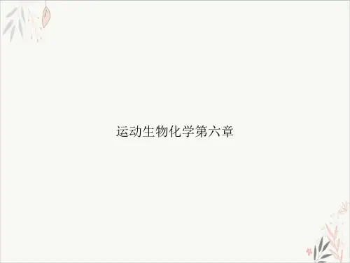 运动生物化学第六章课件-PPT