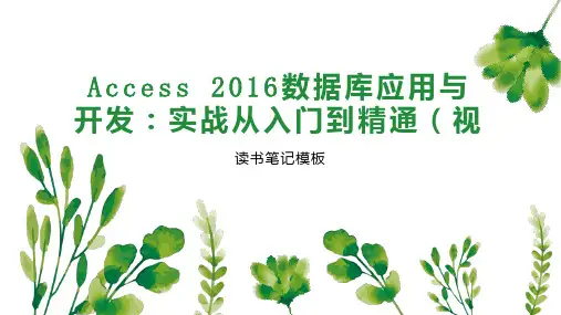 Access 2016数据库应用与开发：实战从入门到精通(视