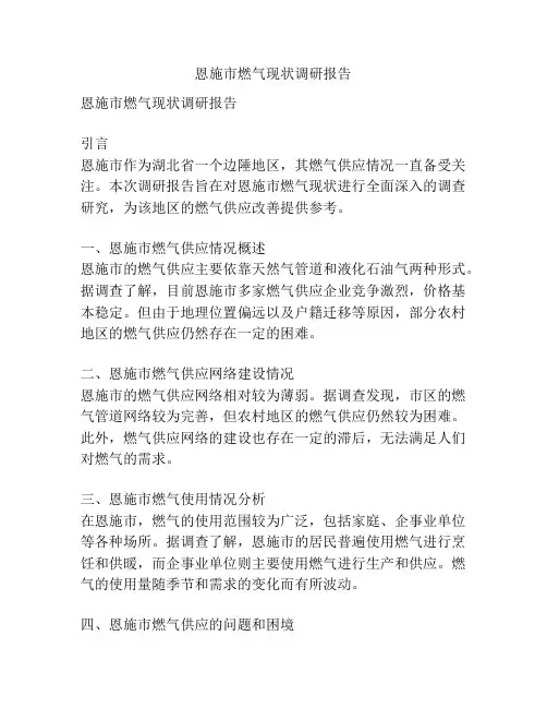 恩施市燃气现状调研报告
