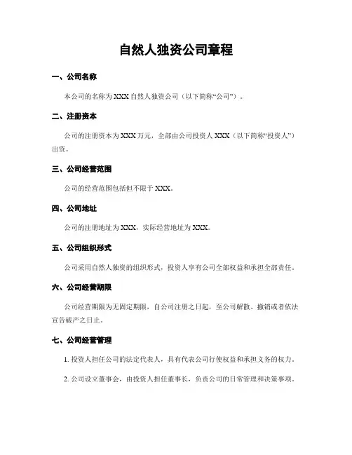 自然人独资公司章程