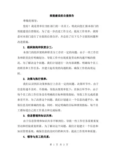 效能建设的自查报告