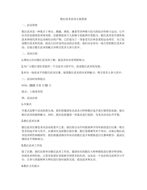 散打武术活动方案策划