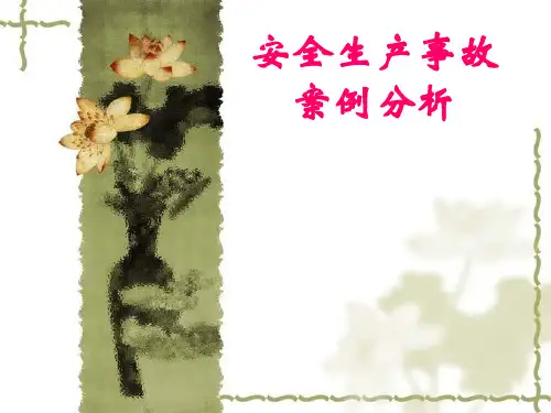 安全生产事故案例分析ppt课件