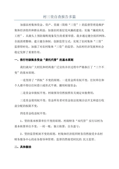 村三资自查报告多篇