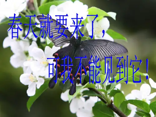 高中作文联想和想象