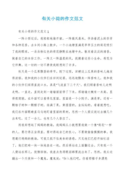 有关小荷的作文范文