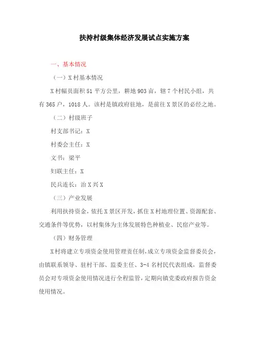 扶持村级集体经济发展试点实施方案(最新)