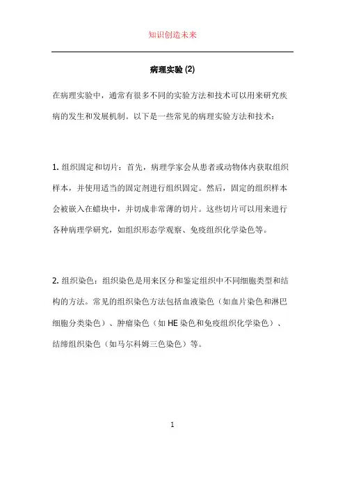 病理实验 (2)