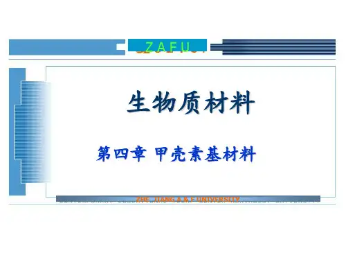 甲壳素材料PPT课件