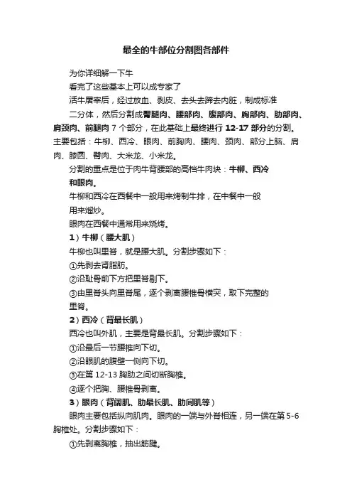 最全的牛部位分割图各部件