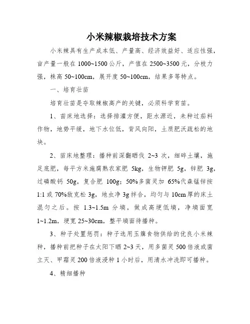 小米辣椒栽培技术方案