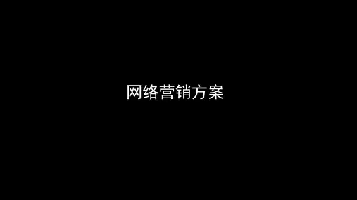 互联网网络营销方案ppt课件