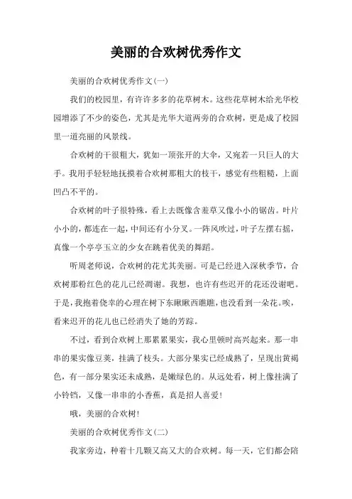 美丽的合欢树优秀作文