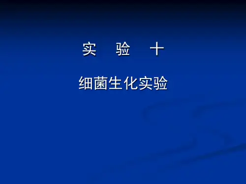 实验十细菌生化实验-微生物实验