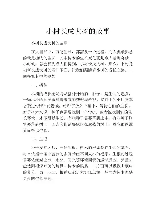 小树长成大树的故事