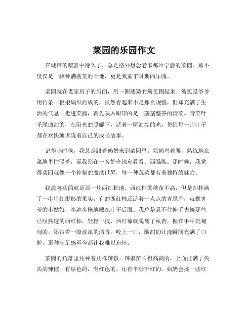 菜园的乐园作文