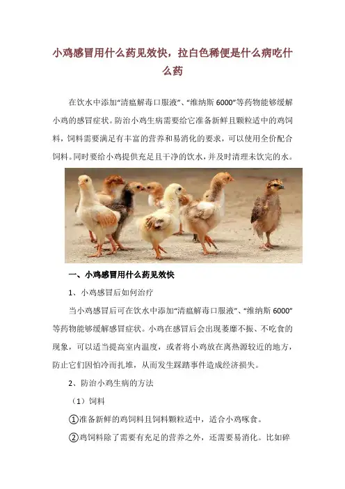 小鸡感冒用什么药见效快,拉白色稀便是什么病吃什么药