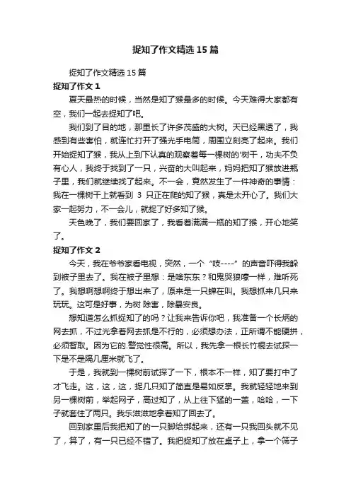 捉知了作文精选15篇