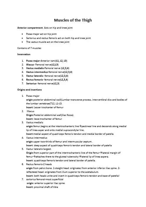 Muscles-of-the-Thigh-notes
