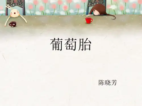 葡萄胎的护理疾病ppt