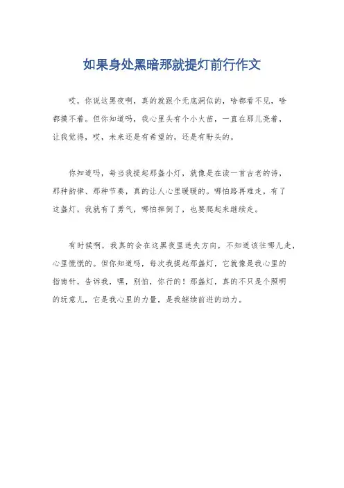 如果身处黑暗那就提灯前行作文