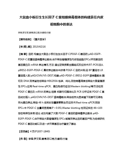 大鼠血小板衍生生长因子C重组腺病毒载体的构建及在内皮祖细胞中的表达