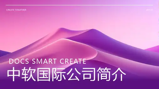 中软国际公司简介1