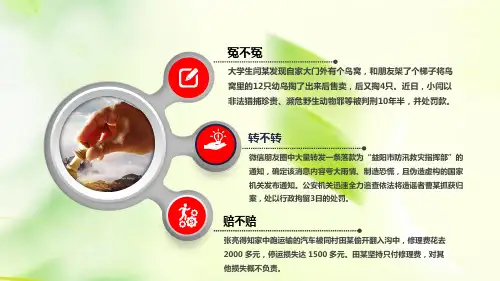 法律概述ppt课件