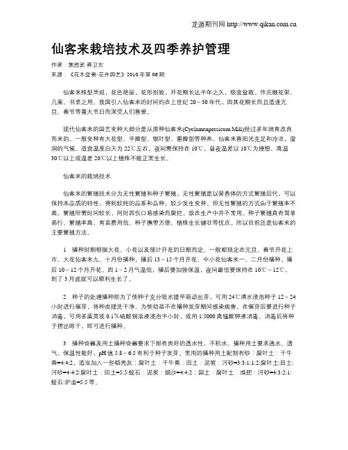 仙客来栽培技术及四季养护管理