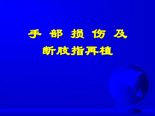 手部解剖 (2) ppt课件