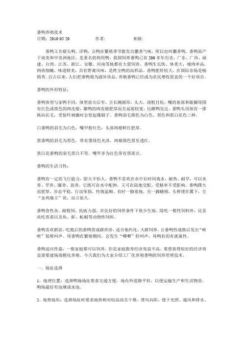 番鸭养殖技术