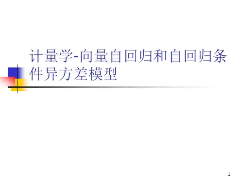 计量学-向量自回归和自回归条件异方差模型