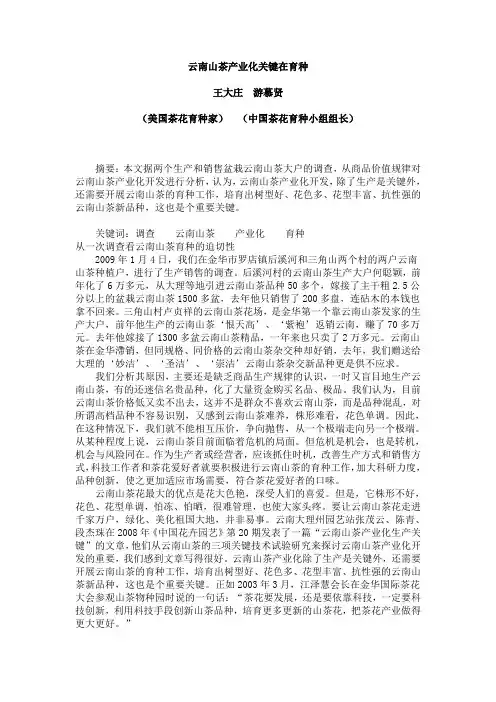 云南山茶产业化关键在育种