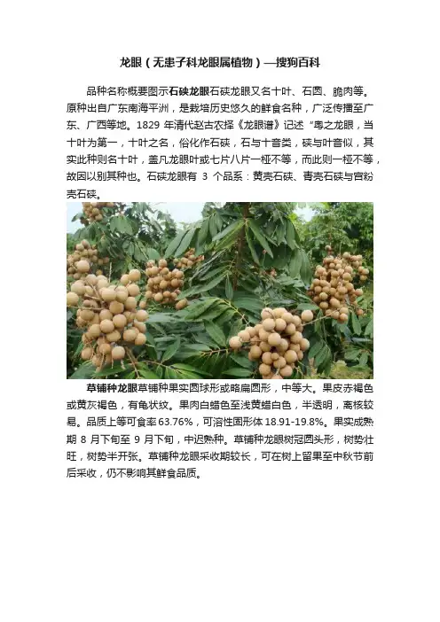 龙眼（无患子科龙眼属植物）—搜狗百科