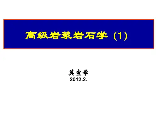 高级岩浆岩.