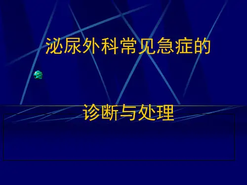 泌尿外科常见急症诊断与处理