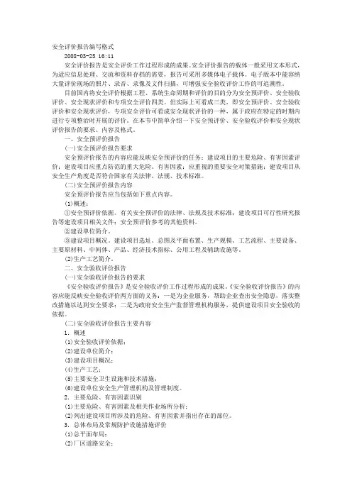 安全评价报告格式