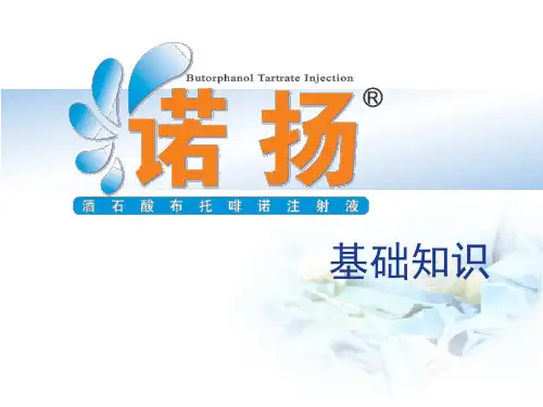 诺扬