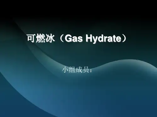 可燃冰资料